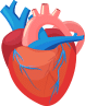 Chirurgia delle cardiopatie congenite